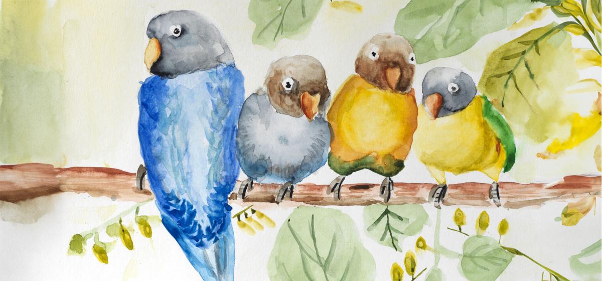 Group of colorful birds on a branch