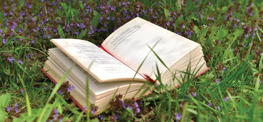 Book sitting in a field