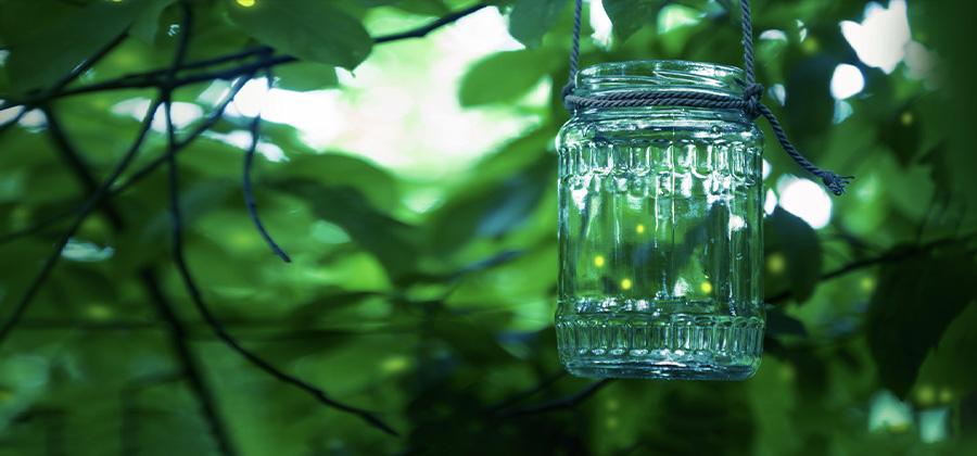 Jar of fireflies hanging in the woods