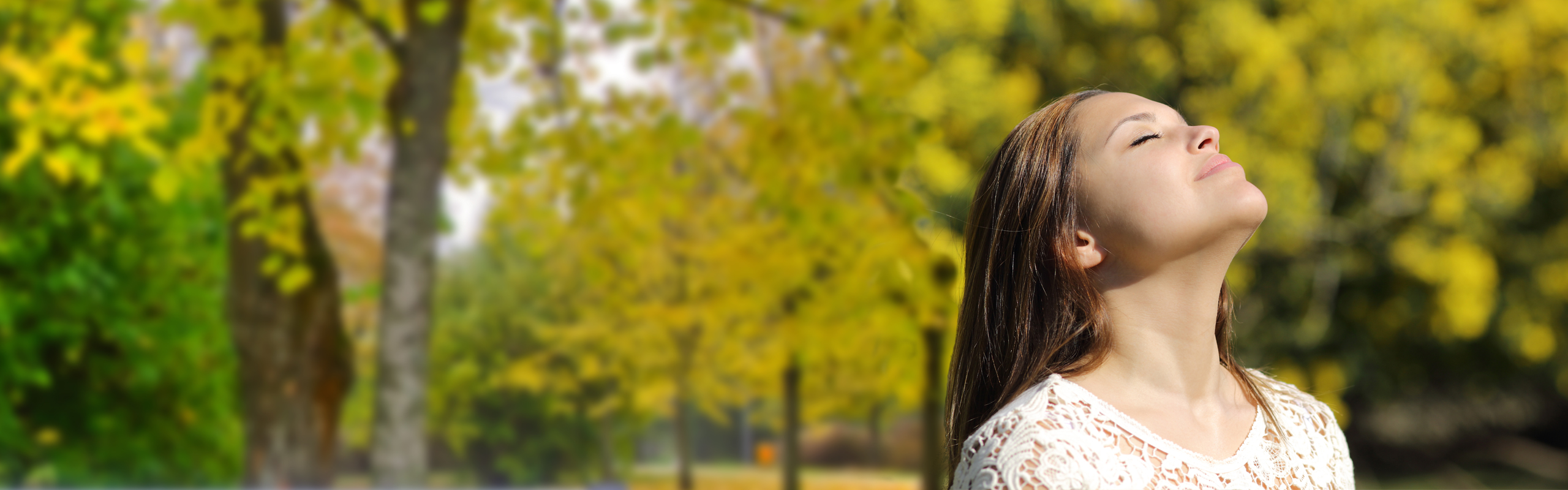 A Beginner's Guide to Energy Medicine | Omega Institute