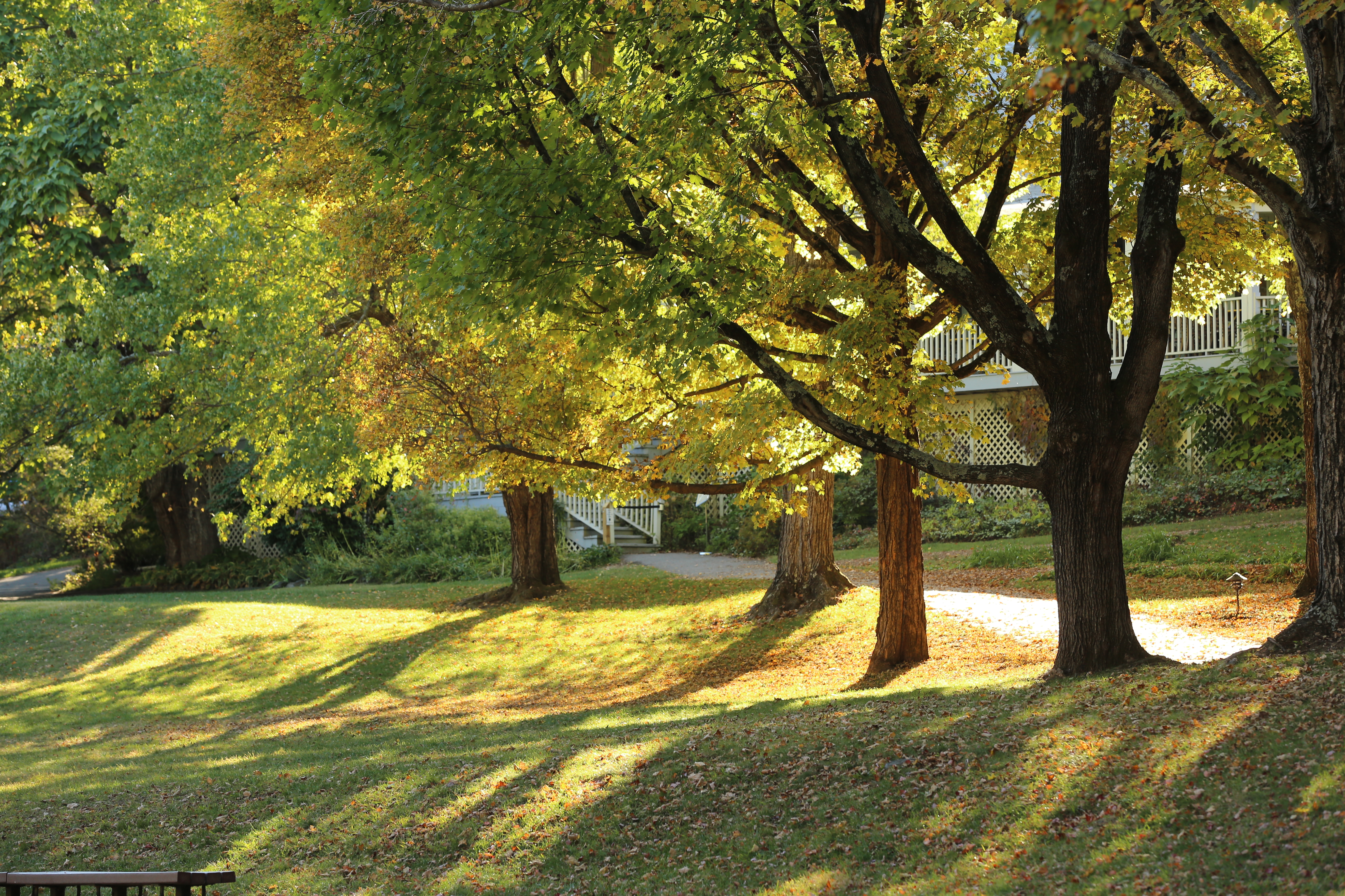 Omega Fall Scene