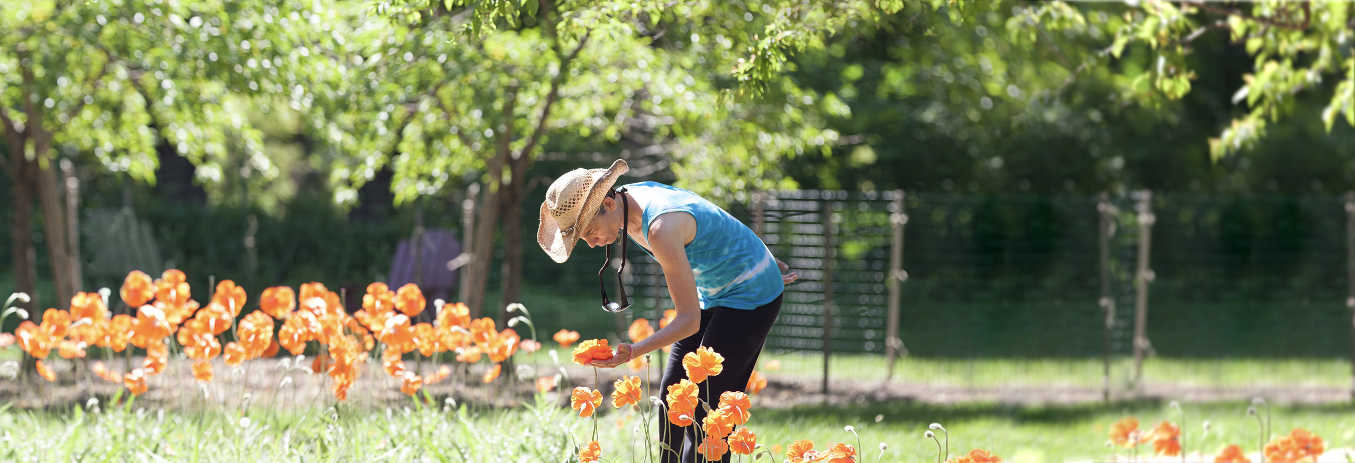 Omega garden in summer