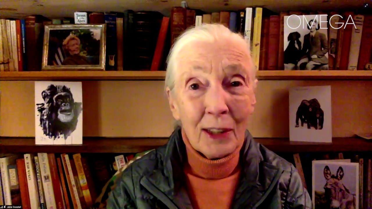 Why Jane Goodall Still Has Hope