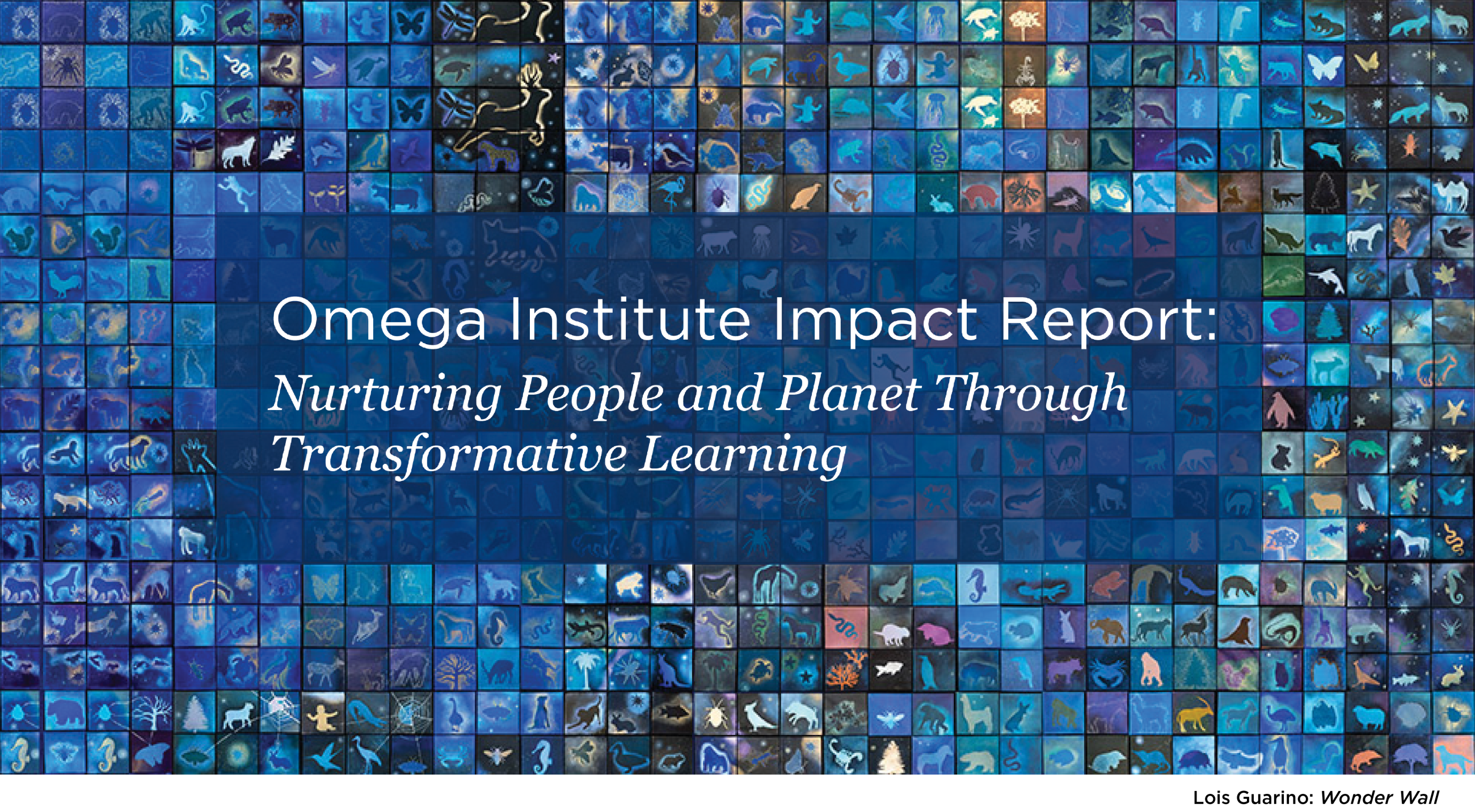 Impact Report 2022 - 2025