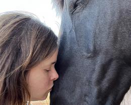 Girl touching a horse's nose