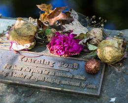 Yearning pond plaque with dried flowers