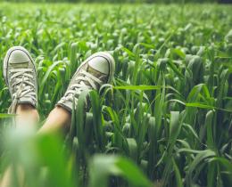 Person relaxing in tall green grass wearing worn canvas sneakers, symbolizing summertime rest, mindfulness, and slowing down.