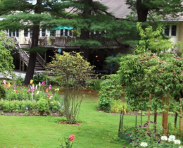 omega grounds