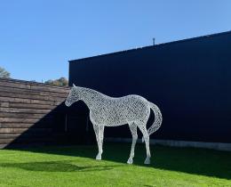 Peter Busby: White Horse