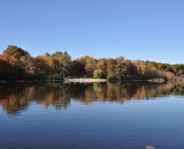 view of Omega lakefront from the lake, calm water and autumn trees