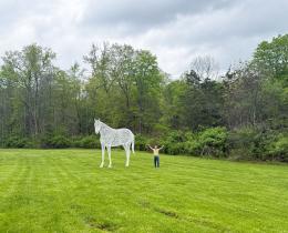 Peter Busby: White Horse