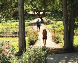 beautiful path through Omega gardens
