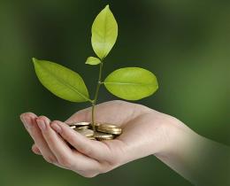 A small green plant sprouting from a handful of coins, symbolizing growth, sustainability, and values-based investing