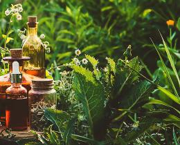 Flowers, plants, and bottles of herbal tinctures