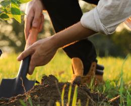 Two people planting a tree sapling in a field