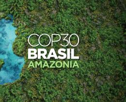 COP30 Brazil logo