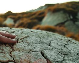 Hand resting on sunlit earth, symbolizing earth-based meditation, mindfulness, and connection with the natural world.