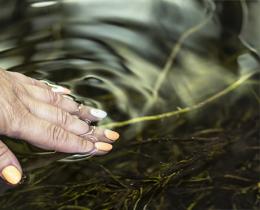 Hand gently placed in water with ripples, representing sensory awareness and nervous system regulation.