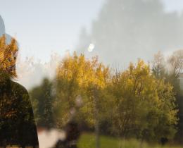 Silhouette of a person blended with a sunlit forest, symbolizing healing, self-discovery, and inner transformation.