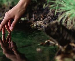 Hand gently touching still water, creating ripples—symbolizing inner awareness, energy sensitivity, and spiritual connection at Omega Institute’s mediumship and intuitive development workshops.