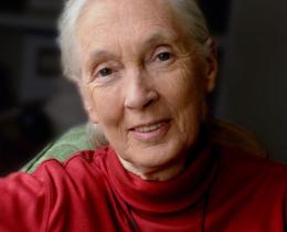 Omega guest speaker Jane Goodall