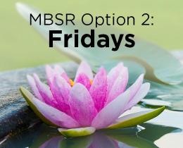 MBSR: Fridays