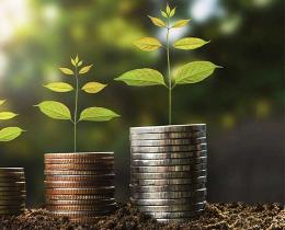 Plants growing out of stacks of coins