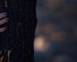 Person's hand on a tree in a nature listening practice