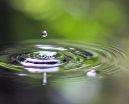 Explore What Awareness  Makes Possible. Mindfulness Resources from Omega