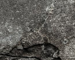 Plant growing out of crack in concrete, symbolizing hope