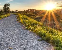 A sunlit path curving forward through a green landscape, suggesting direction and purposeful movement.