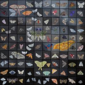 Lois Guarino painting of many squares with assorted Lepidoptera