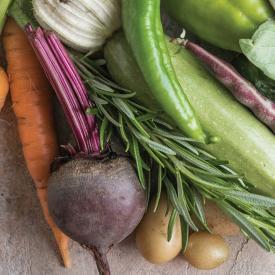 A bountiful harvest of local vegetables