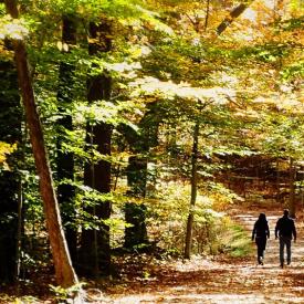 couple walking through an autumn forest