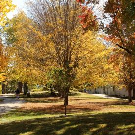 Omega Institute in Autumn