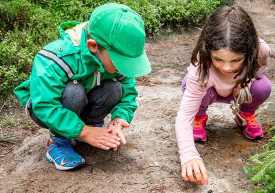 Young children playing in a forest