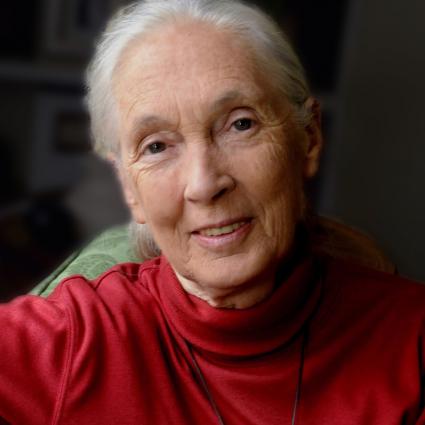 Omega guest speaker Jane Goodall
