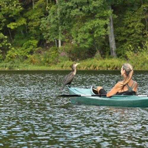 Omega_LakeKayakBird_1_700x350