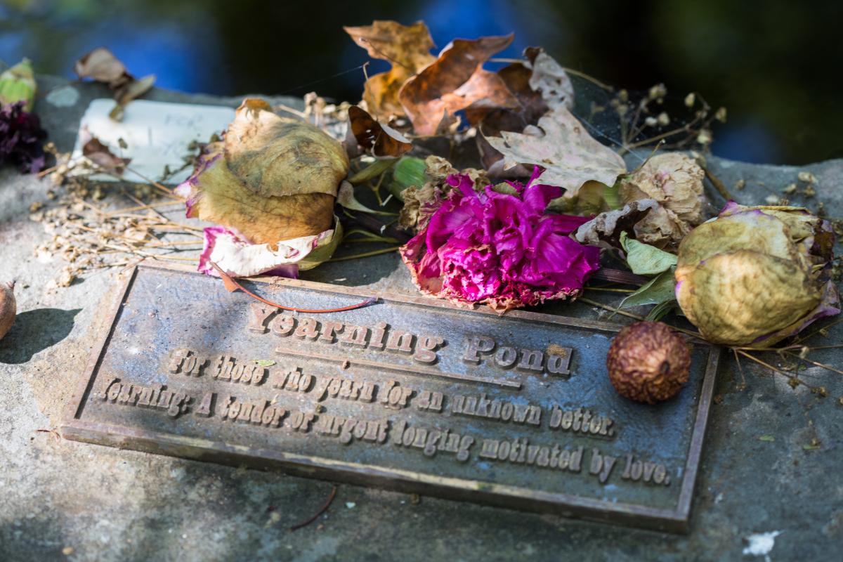 Yearning pond plaque with dried flowers