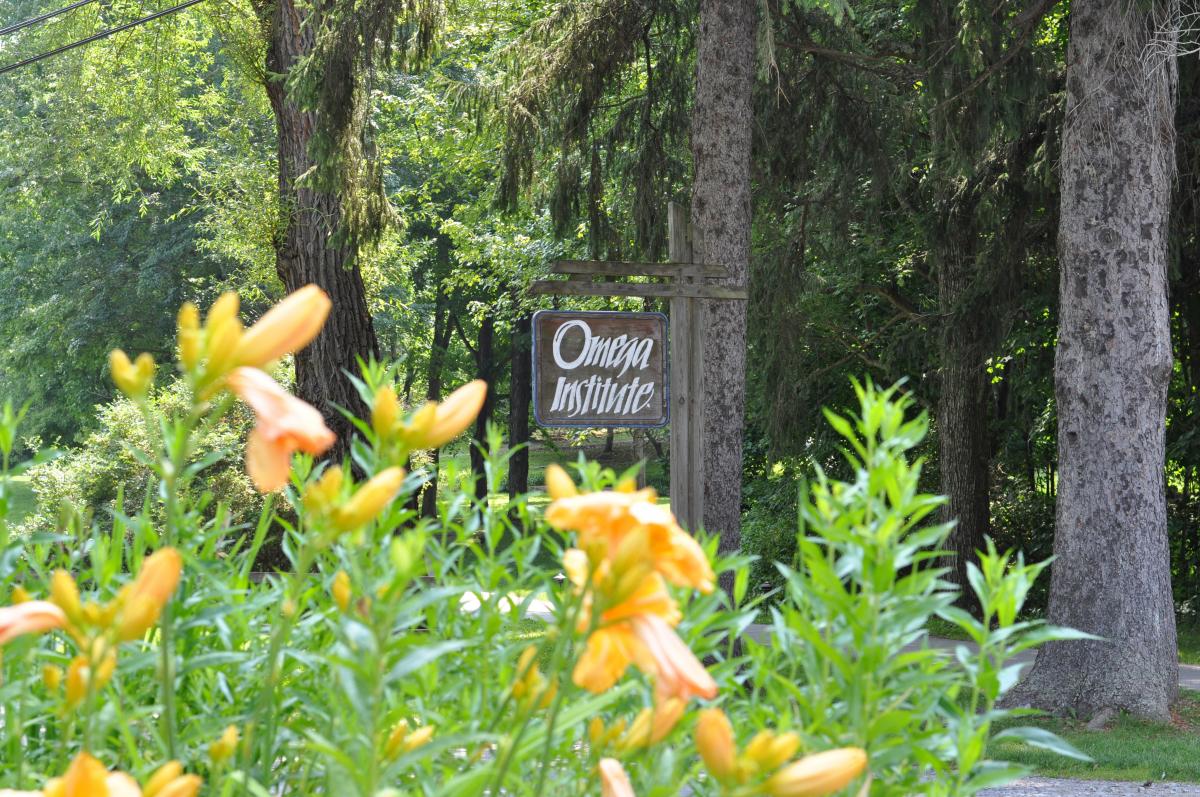 Omega Institute sign as seen through a patch of day lillies