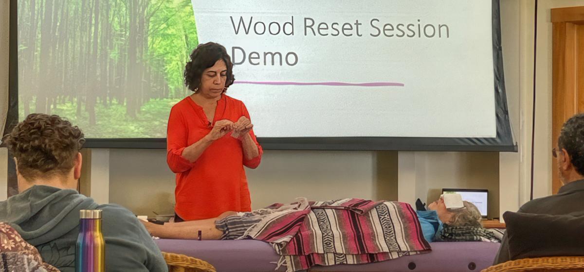 Janet Galipo leading a workshop