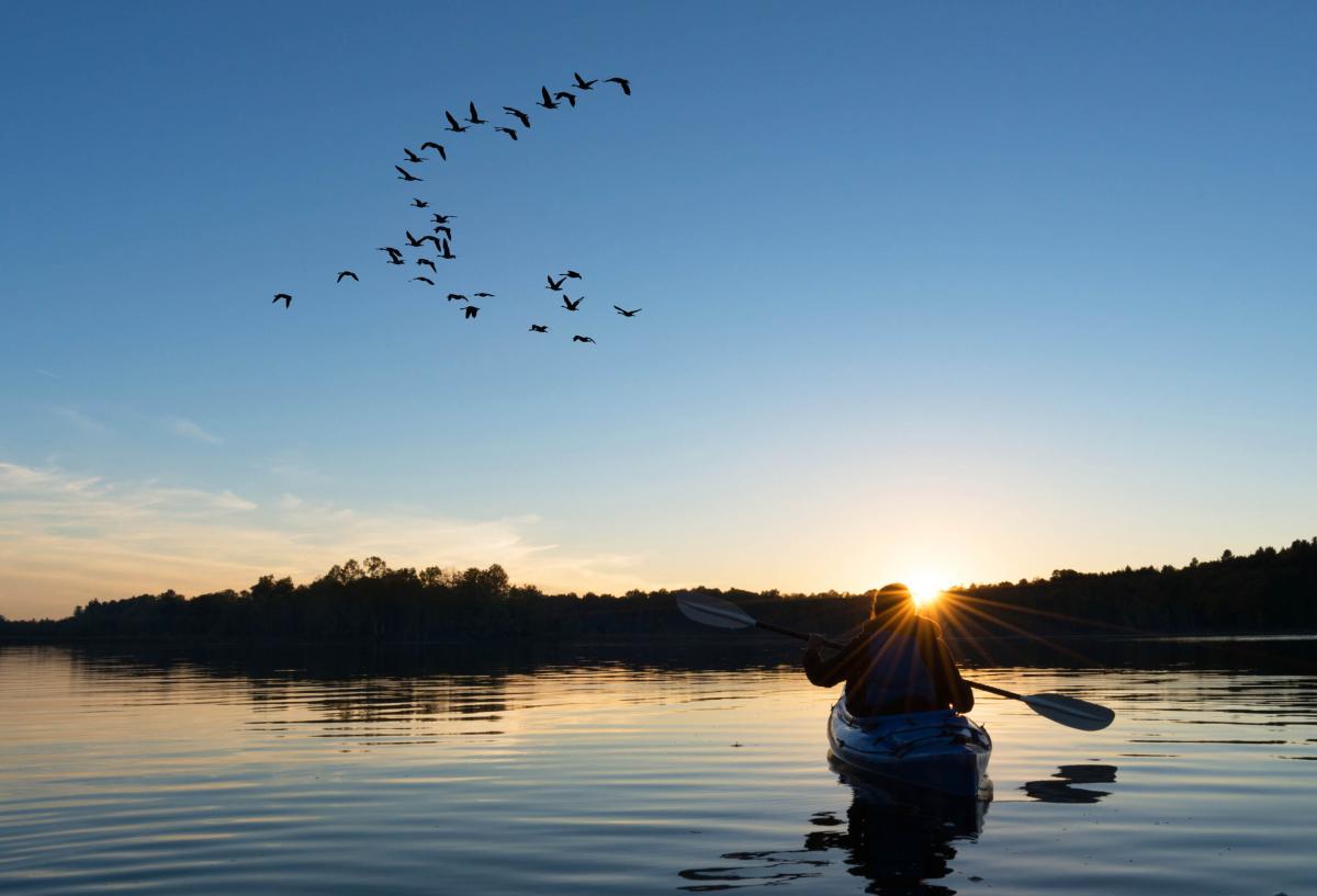 Kayaker on lake at sunrise with migrating geese overhead