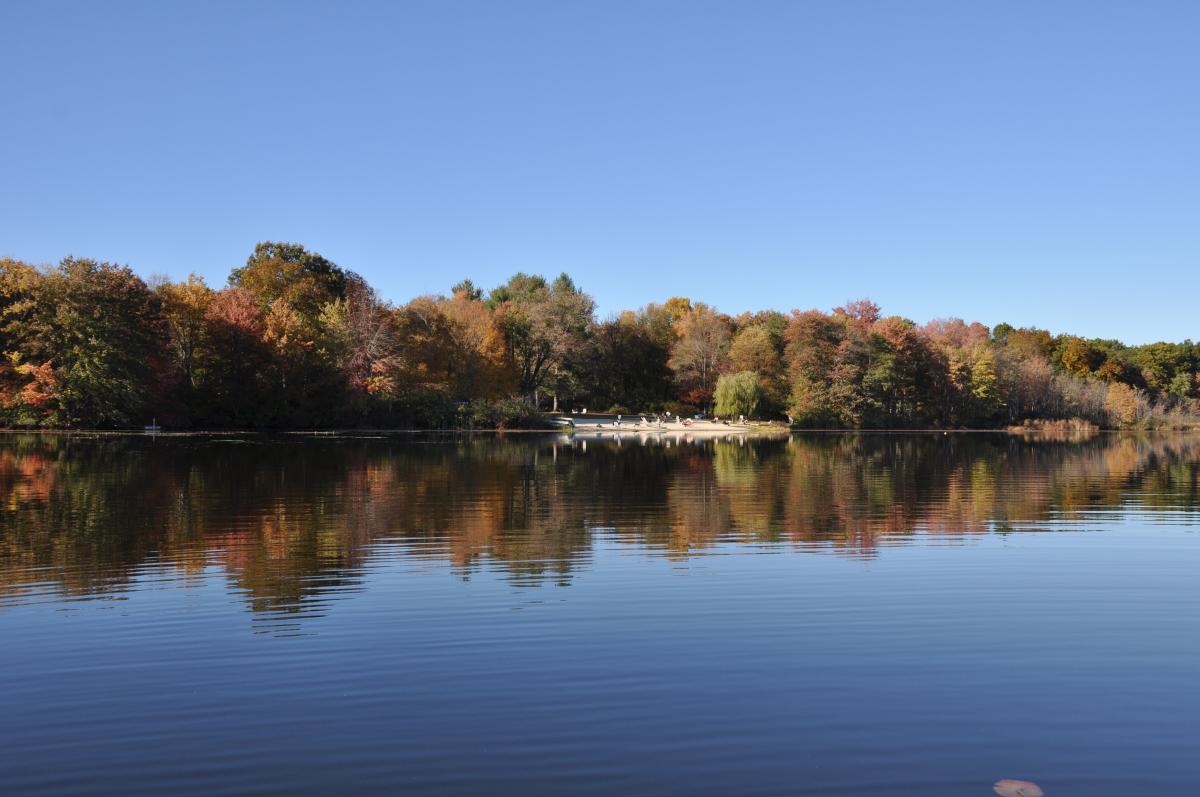 view of Omega lakefront from the lake, calm water and autumn trees