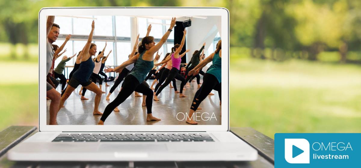 Group of older adults in movement class on laptop with Omega livestream logo