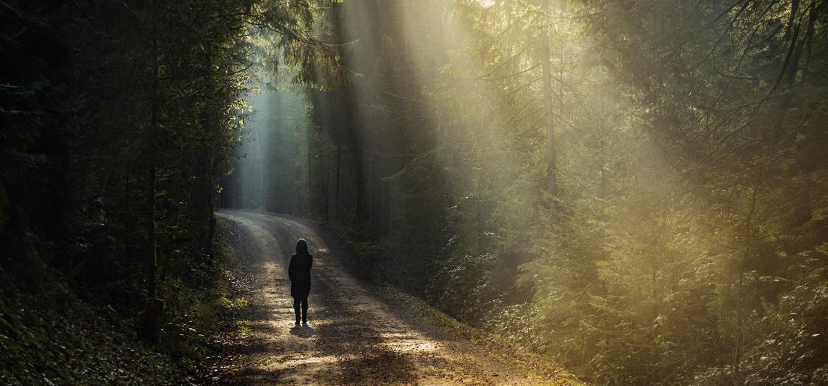 Person walking on a dramatically lit forest path