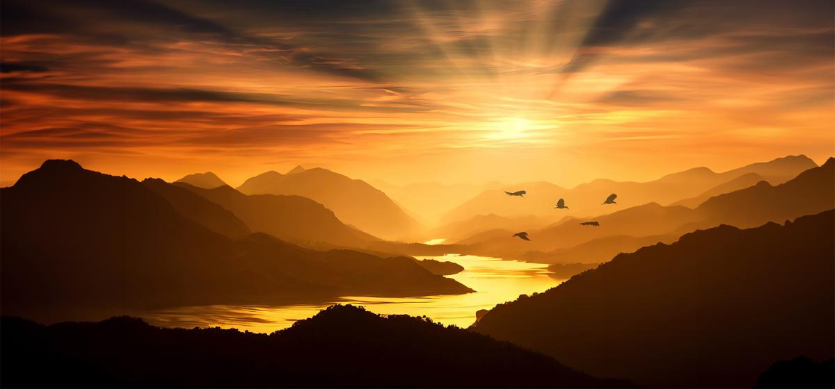 Birds flying in front of dramatically lit sunset