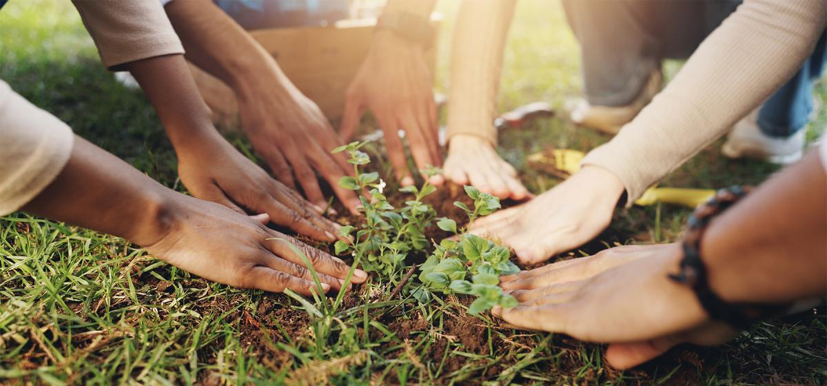 Hands touching the earth together in community
