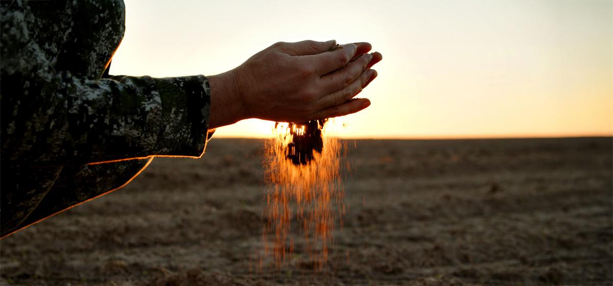 Person allowing handful of soil to fall through fingers in front of sunlight