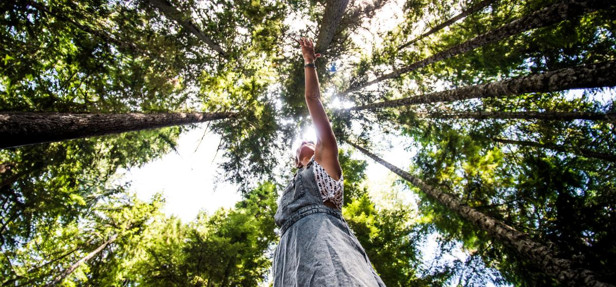 Person standing in the forest with outstretched hand