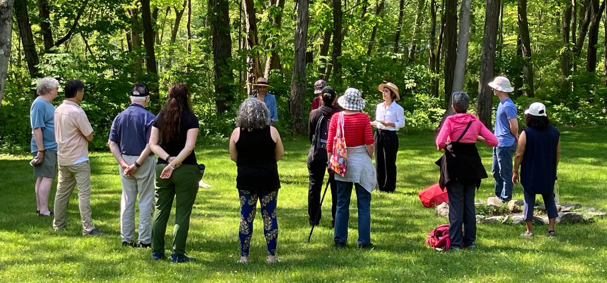 Group of Omega Members in a forest bathing practice